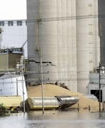 resizedimage204250-3899940 resizedimage204250-3899940