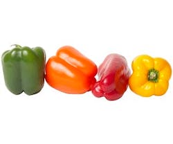 1663366720285 Aromatopveggie 1663366720285 Aromatopveggie