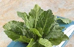 1663367721326 Vandrunenkale 1663367721326 Vandrunenkale