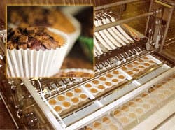 1663368204007 Hindsbockmuffinbatterdepositer 1663368204007 Hindsbockmuffinbatterdepositer