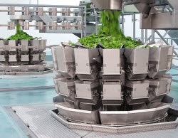 1663368212737 Heatcontrolffreshproduceweigher