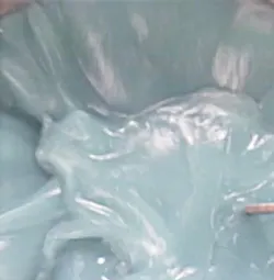 1663368298290 Xanthan 1663368298290 Xanthan