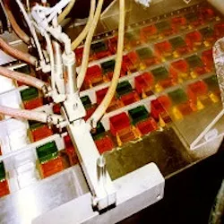 1663368371346 Hindsbock Candy 1663368371346 Hindsbock Candy