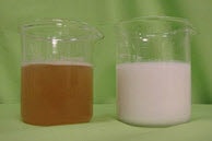 1663368922587 Ticapansml