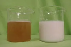 1663368922587 Ticapansml 1663368922587 Ticapansml