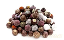 1663369010910 Cocopotamus Chocolates 1663369010910 Cocopotamus Chocolates