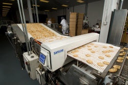 1663369038489 Safelineconveyor