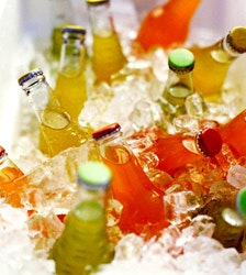 1663369483664 Bottlesice