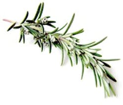 1663369648361 Rosemary 1663369648361 Rosemary