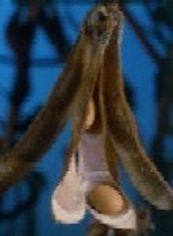 1663369801992 Well Adm Soy 1663369801992 Well Adm Soy