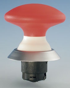 1663369829285 Singular Seriesn