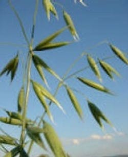 1663369903370 Frutarom Wildgreenoats 1663369903370 Frutarom Wildgreenoats