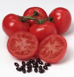 1663369963752 Lycored Tomatoes