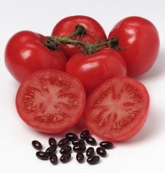 lycored_tomatoes