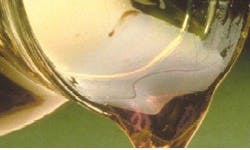 1663369978050 Cargill Xtendsucromalt 1663369978050 Cargill Xtendsucromalt