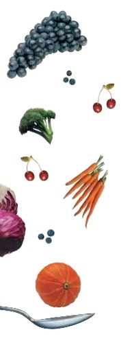 1663370052323 Wfi0507 Nutrifood50pct