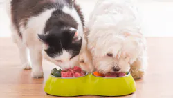 1663606698129 2204petfood 1663606698129 2204petfood