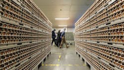 Rows Of Eggs 6331ba91c4bb4 Rows Of Eggs 6331ba91c4bb4