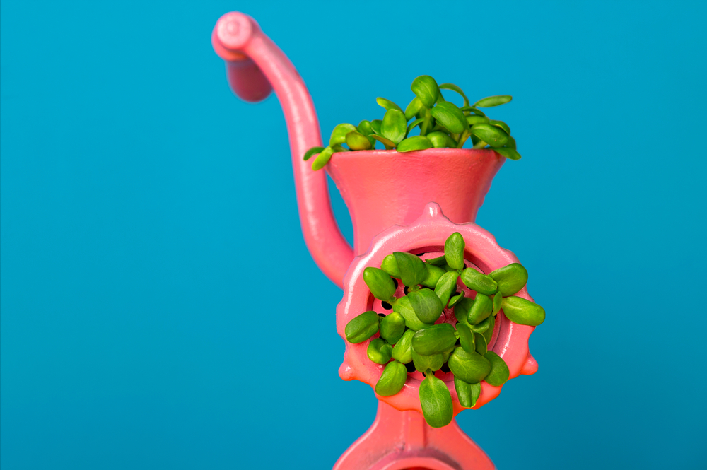 Plant Meat 632e0cc6a9e6f