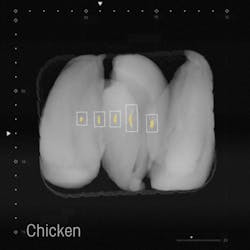 Mettler-Toledo's DXD and DXD+ dual energy detector technology is optimized for identifying foreign bodies such as calcified bone, low-mineral glass, rubber and some plastics. Mettler-Toledo's DXD and DXD+ dual energy detector technology is optimized for identifying foreign bodies such as calcified bone, low-mineral glass, rubber and some plastics.