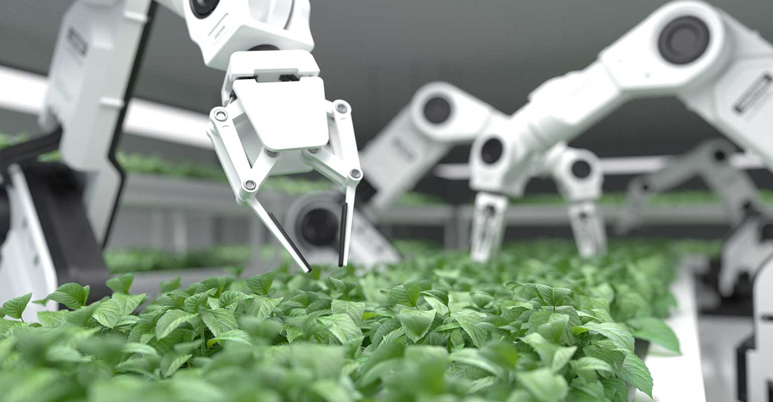 Five Trends Expected to Impact the Food Industry Food Processing