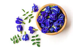 Butterfly Pea Flower Butterfly Pea Flower