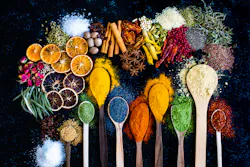 January2023 Ingredients 63a0c44242dfb January2023 Ingredients 63a0c44242dfb