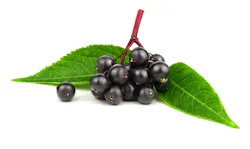 Elderberry Elderberry