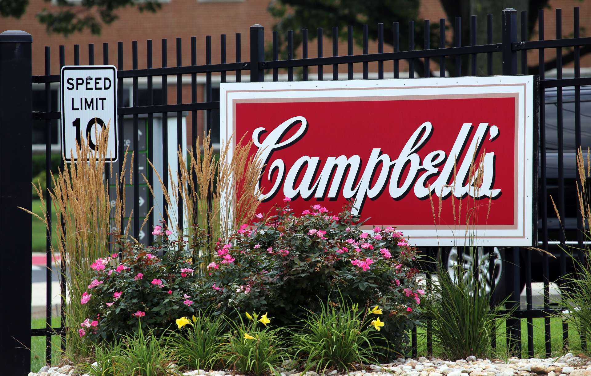 Campbells Hq 63c98a3290dfc