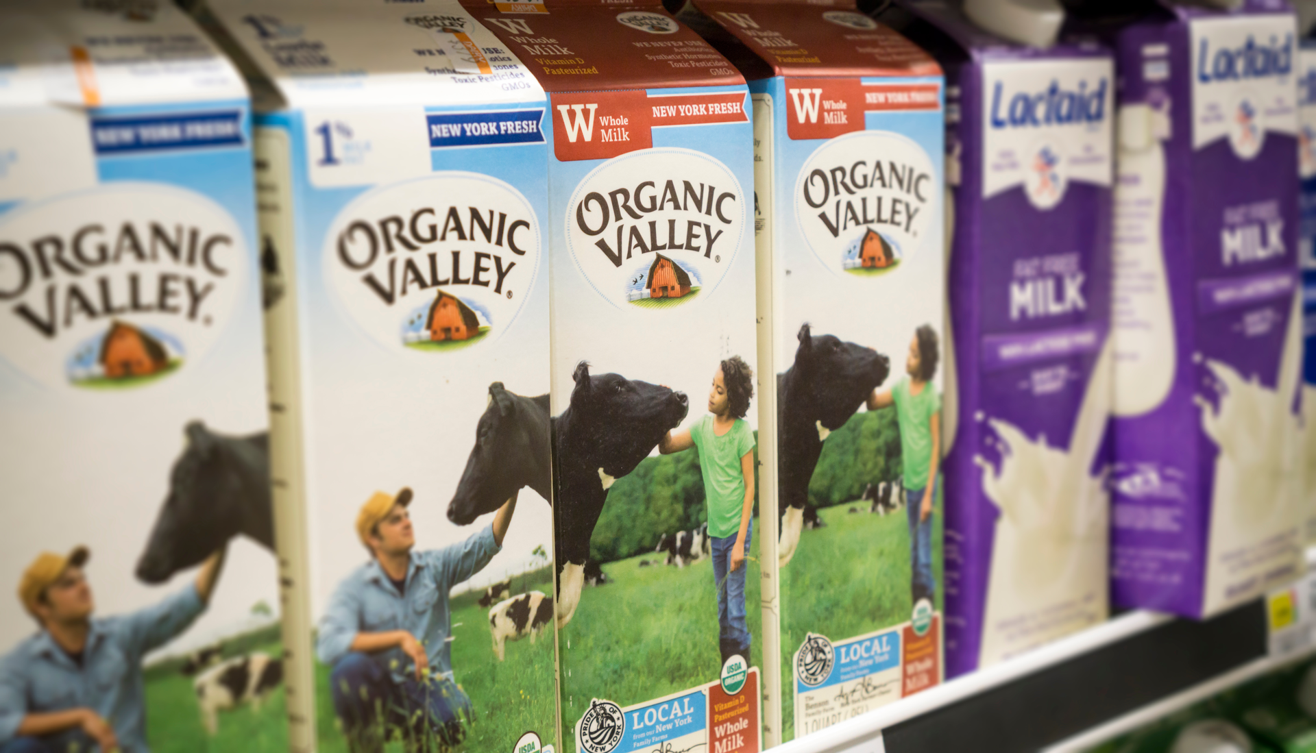 Organic Valley 63c6d572f0e2d