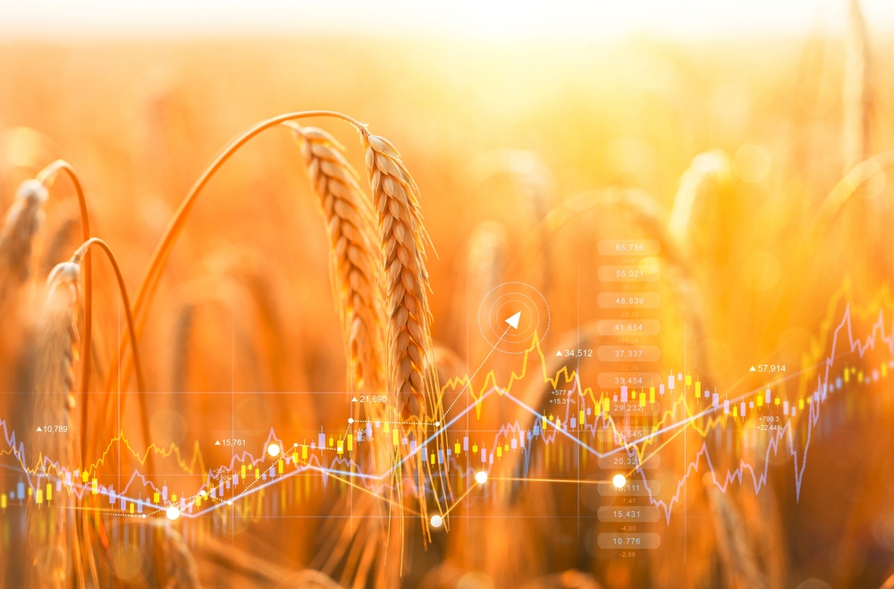 Commodity Wheat 63bdbf1c908b2