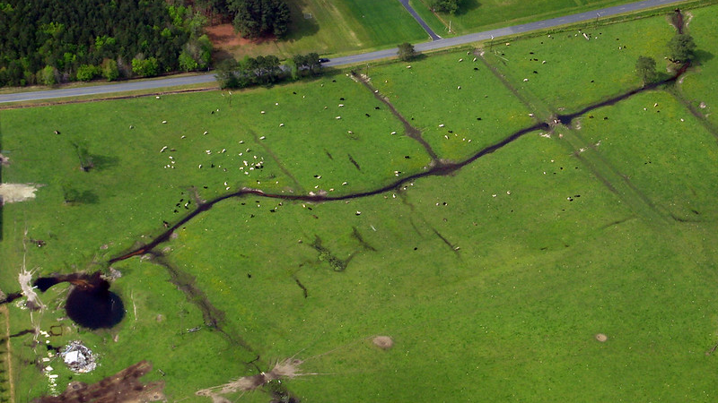 Pasture in the Chesapeake Bay watershed