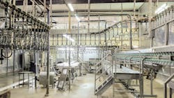 Chicken Plant 63f7e7bee9292 Chicken Plant 63f7e7bee9292