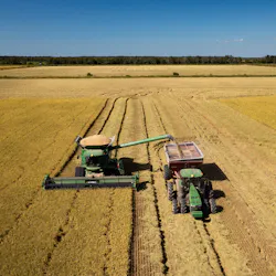 Harvesting rice on farm, Kellogg's Ingrained program