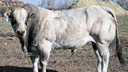 'file:dakota 27 P 'file:dakota 27 P