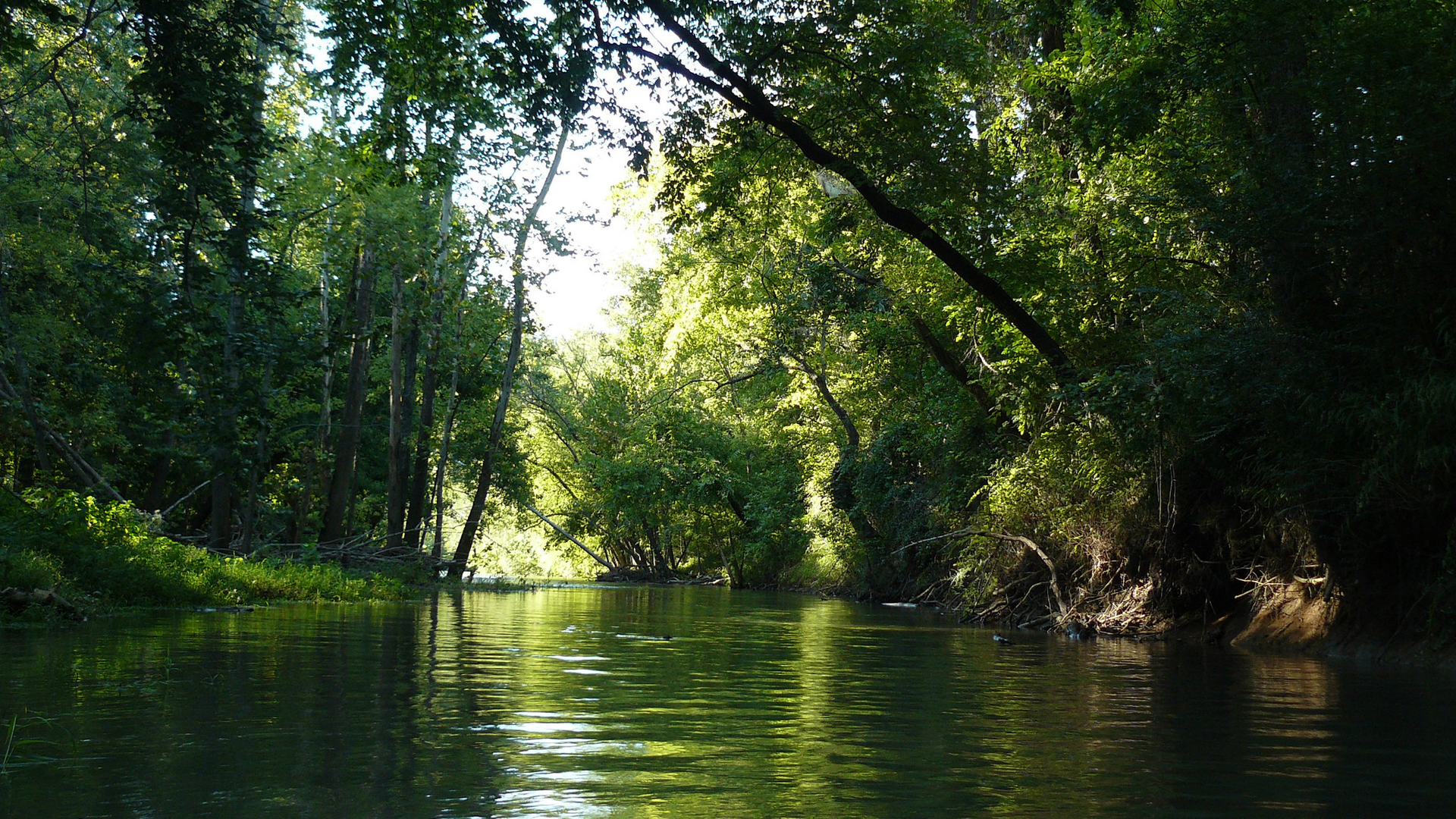 Green Water on The Illinois River
