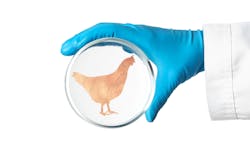 Lab Chicken 641a04da5795d Lab Chicken 641a04da5795d