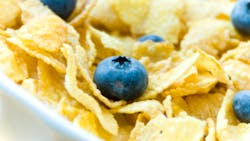 'Corn Flake Cereal with Blueberries' 'Corn Flake Cereal with Blueberries'
