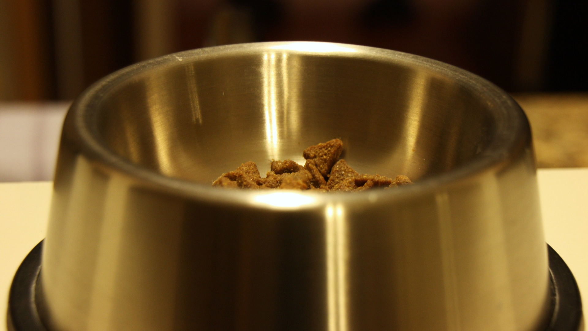 'Oliver's Food Bowl 2'