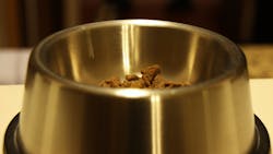 'Oliver's Food Bowl 2' 'Oliver's Food Bowl 2'