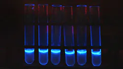 New, faster test for pathogenic E. coli in beef is based on using a modified phage, a virus that infects bacteria. After infecting the pathogenic E. coli, the phage produces an enzyme that causes the bacteria to glow.