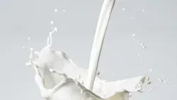 Milk Splash 6411b71dced3b Milk Splash 6411b71dced3b