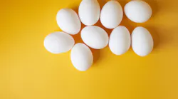 Eggs Eggs