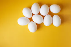 Eggs 6421aee999351