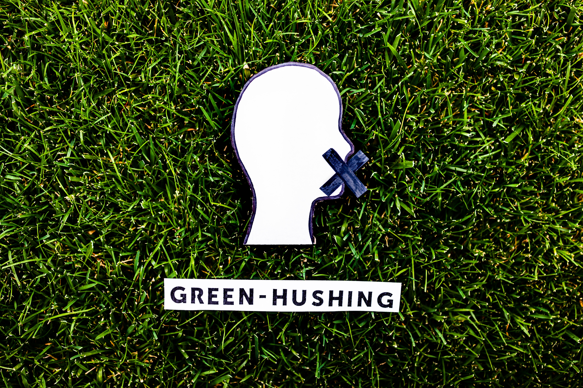 Greenhushing 644be2b513ba0