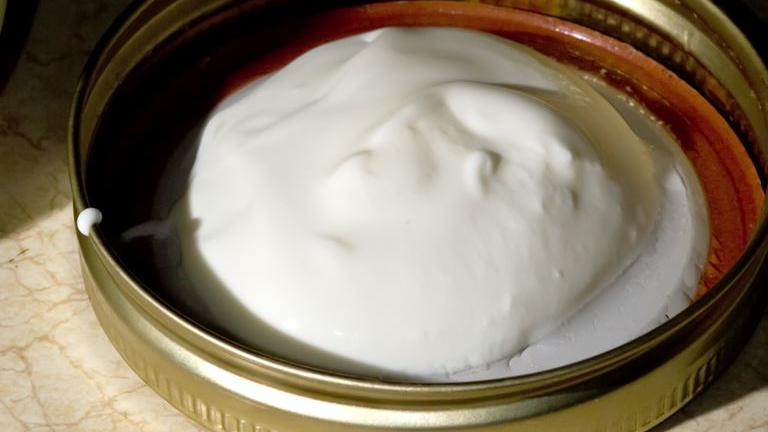 'Yogurt 366'
