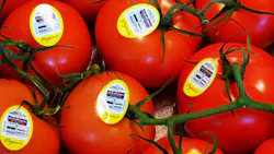 'Lily's Organic Produce' 'Lily's Organic Produce'