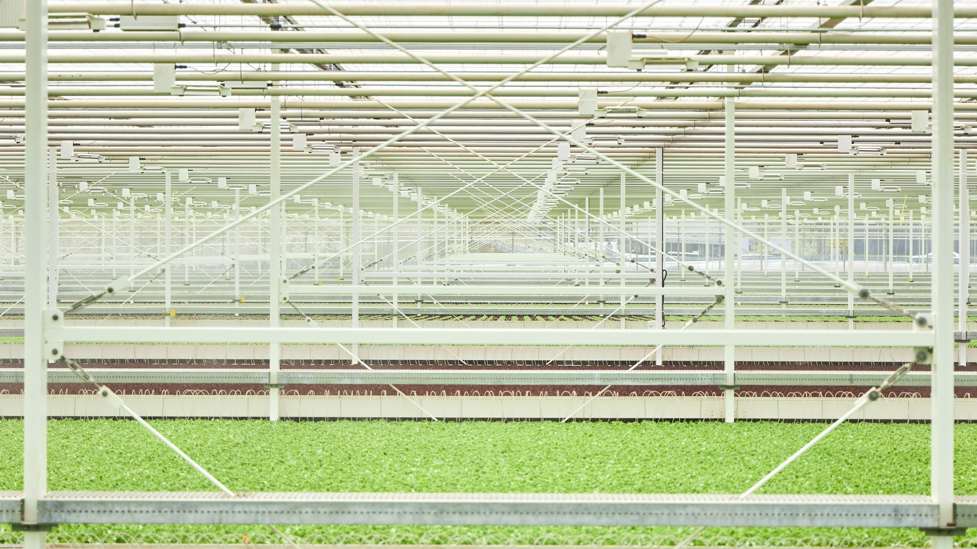 Llf Openhouse 6478c7891ba79