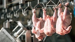 Shutterstock 1390194644 6482156e0c7d7 Shutterstock 1390194644 6482156e0c7d7