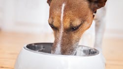 Shutterstock 187661579 6491c26cb2f8c Shutterstock 187661579 6491c26cb2f8c